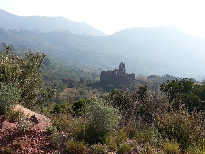 Parque Natural del Desierto de las Palmas